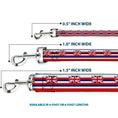 Load image into Gallery viewer, Dog Leash - Hawaii Flag Continuous Repeat
