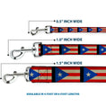 Load image into Gallery viewer, Dog Leash - Puerto Rico Flag Weathered

