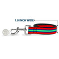 Load image into Gallery viewer, Dog Leash - Stripes Red/Blue/Green

