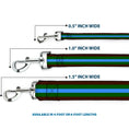 Load image into Gallery viewer, Dog Leash - Stripes Brown/Green/Baby Blue
