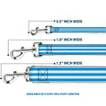 Load image into Gallery viewer, Dog Leash - Triple Stripe White/Blue
