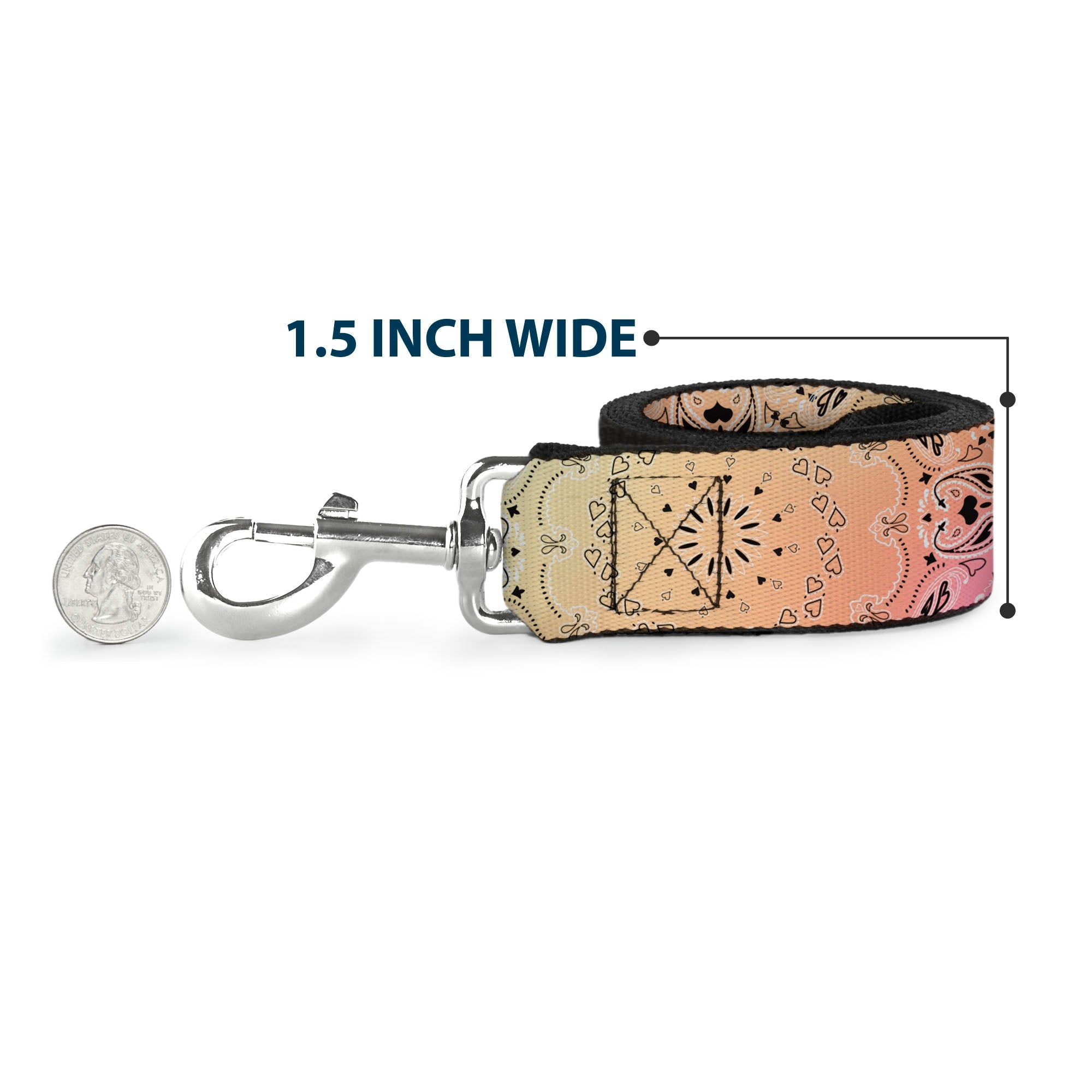 Dog Leash - Bandana Paisley Ombre Pastel/Black