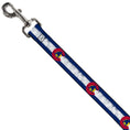 Load image into Gallery viewer, Dog Leash - Colorado Flag/Snowboarder Weathered
