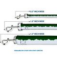 Load image into Gallery viewer, Dog Leash - Colorado Solid Mountains Green/White

