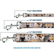 Dog Leash - Cat Faces Stacked