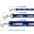 Load image into Gallery viewer, Dog Leash - Colorado Trout Flag Blue/White/Red/Yellow
