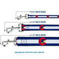 Load image into Gallery viewer, Dog Leash - Colorado Flag/Snowboarder Blue/White/Red/Yellow
