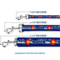 Load image into Gallery viewer, Dog Leash - Colorado ASPEN Flag/Snowy Mountains Weathered2 Blue/White/Red/Yellows
