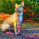 Dog Leash - Christmas NAUGHTY OR NICE/Snowflakes Reds/White/Green
