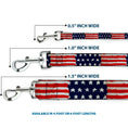 Load image into Gallery viewer, Dog Leash - Stars & Stripes Painting
