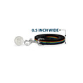 Load image into Gallery viewer, Southlake Paws Dog Leash in Stripe Black/Rainbow, 0.5 inch wide, featuring a silver clip and a quarter for size reference.
