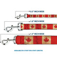 Load image into Gallery viewer, Dog Leash - Canada Flag Continuous Vintage
