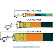 Dog Leash - Summer Essentials Color Block 1
