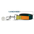 Load image into Gallery viewer, Dog Leash - Summer Essentials Color Block 1
