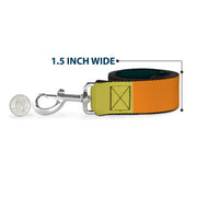 Dog Leash - Summer Essentials Color Block 1