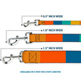 Load image into Gallery viewer, Dog Leash - Summer Essentials Color Block 2
