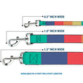 Load image into Gallery viewer, Dog Leash - Summer Essentials Color Block 3
