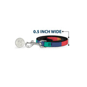 Dog Leash - Summer Essentials Color Block 3