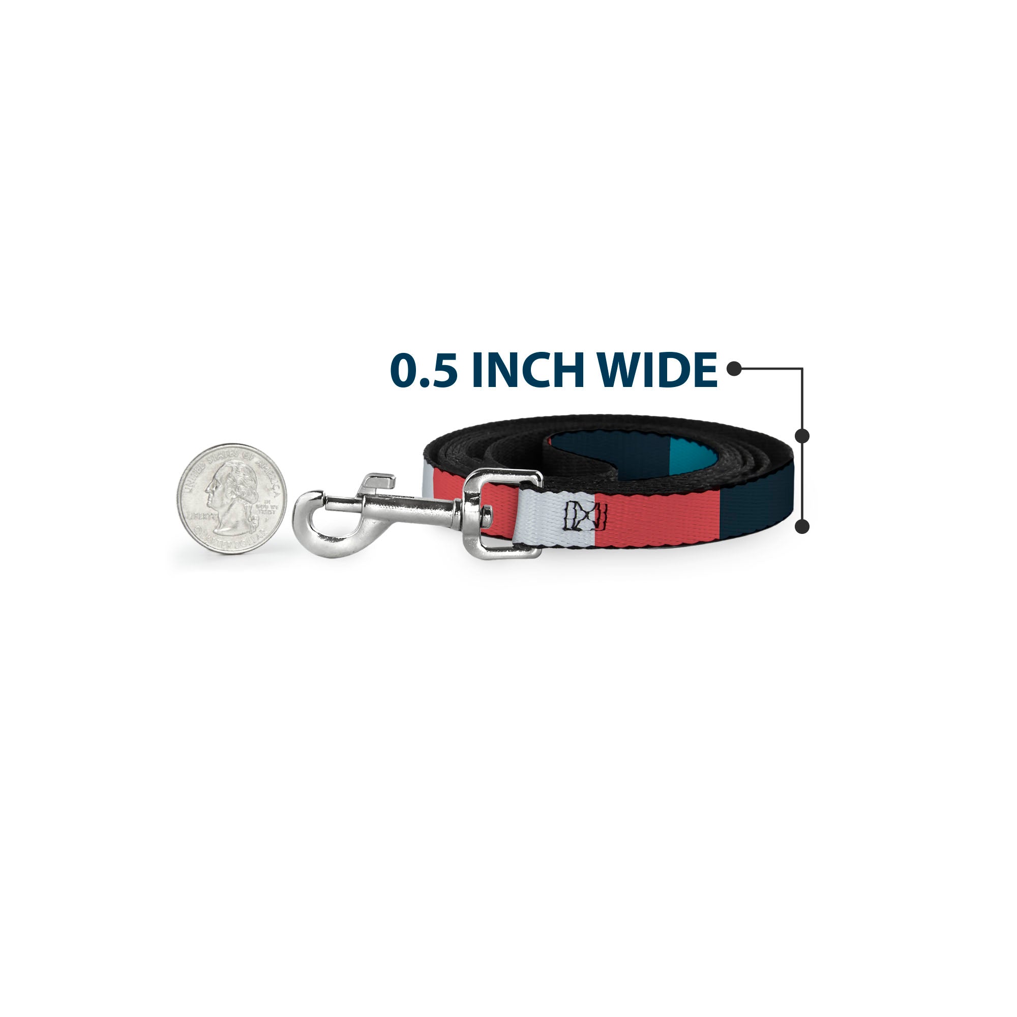 Dog Leash - Summer Essentials Color Block 4
