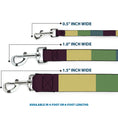 Load image into Gallery viewer, Dog Leash - Summer Essentials Color Block 5
