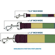 Dog Leash - Summer Essentials Color Block 5