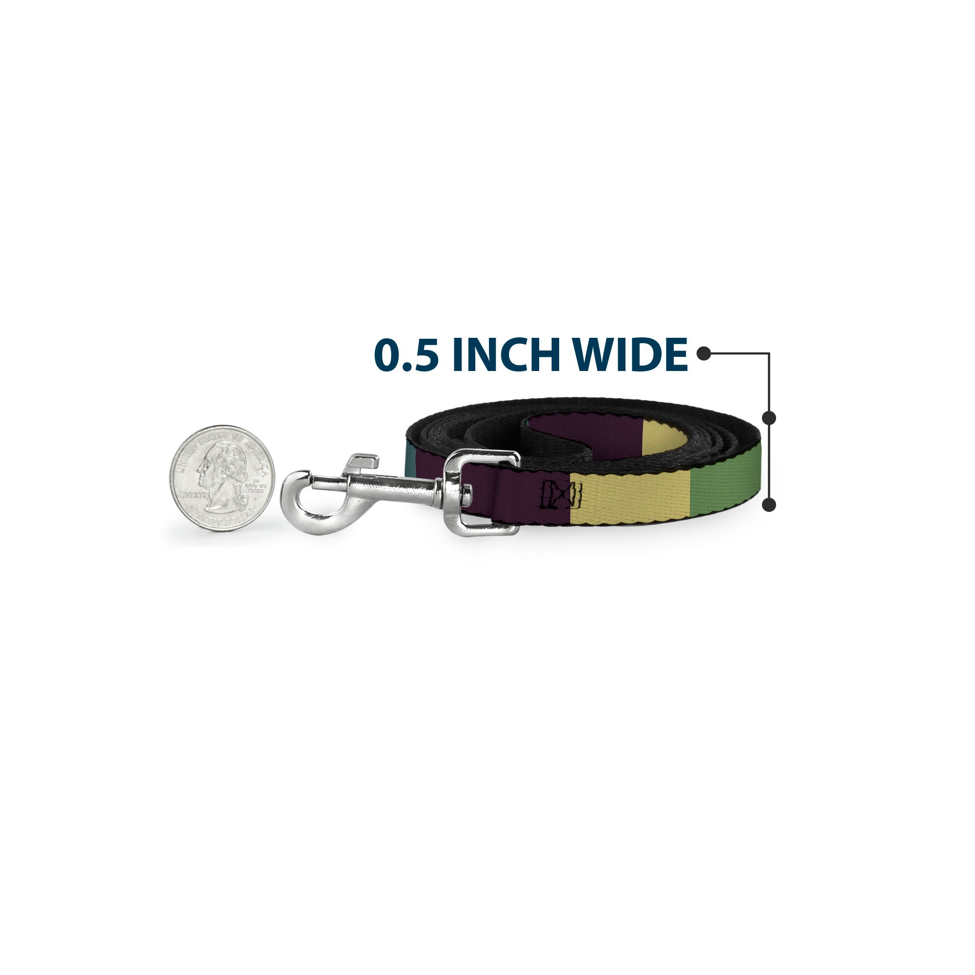 Dog Leash - Summer Essentials Color Block 5