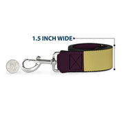Dog Leash - Summer Essentials Color Block 5
