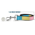 Load image into Gallery viewer, Dog Leash - Summer Essentials Color Block 6
