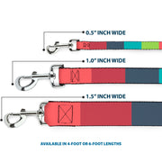 Dog Leash - Summer Essentials Color Block 8