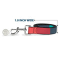 Load image into Gallery viewer, Dog Leash - Summer Essentials Color Block 8
