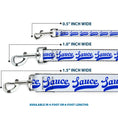 Load image into Gallery viewer, Dog Leash - SAUCE Baseball Script White/Blue
