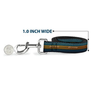 Dog Leash - AQUAMAN Scales Stripe Blues/Golds