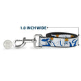 Load image into Gallery viewer, Dog Leash - Adventure Time Ice King Poses and Bolts White/Blue

