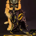 Load image into Gallery viewer, Dog Leash - Batman Shield Black/Yellow
