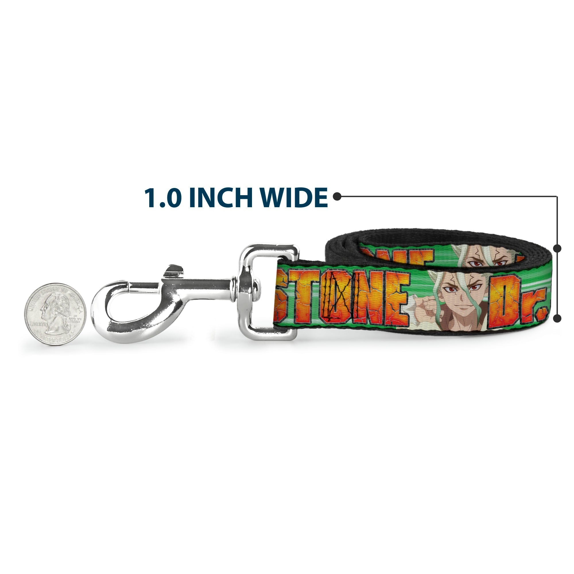 Dog Leash - DR. STONE Title Logo and Suika Face Close-Up Greens