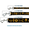 Load image into Gallery viewer, Dog Leash - Black Adam Justice Society Icons Black/Orange
