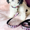 Load image into Gallery viewer, Dog Leash - Minnie Mouse Expressions Polka Dot Pink/White
