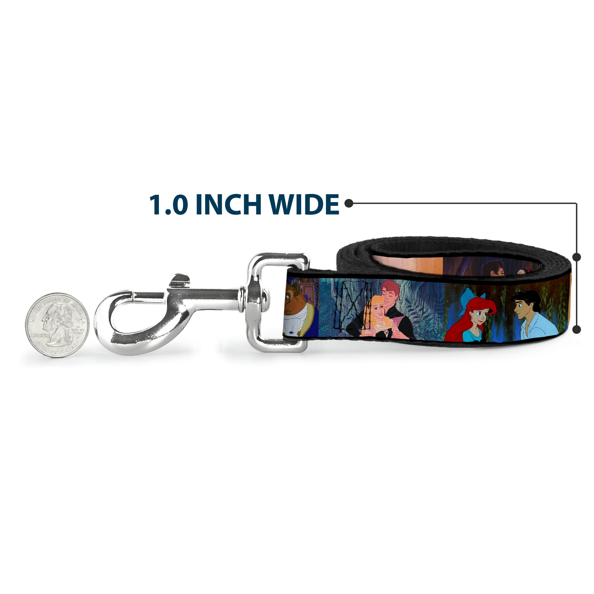 Dog Leash - Disney Princess Scenes Framed