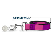 Dog Leash - Cheshire Cat Stripe Pink/Purple