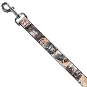 Dog Leash - Up Adventure Book Snapshots/Post Cards