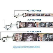 Dog Leash - Up Adventure Book Snapshots/Post Cards