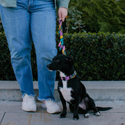 Dog Leash - Nightmare Before Christmas Sally Dress Patchwork