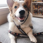 Dog Leash - Dug 3-Poses/SQUIRREL! Brown/Yellow/White