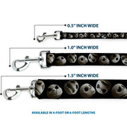 Dog Leash - Jack 10-Expressions Staggered Black