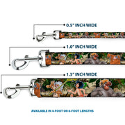 Dog Leash - The Jungle Book I Wanna Be Like You 4-Character Scene