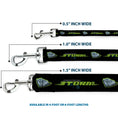Load image into Gallery viewer, Dog Leash - Cars 3 JACKSON STORM Pose/STRIPE Black/Greens

