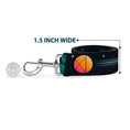 Load image into Gallery viewer, Dog Leash - Wall-E Poses/Stripe Black/White
