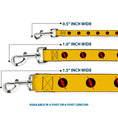 Load image into Gallery viewer, Dog Leash - Reverse Flash Logo Golden Yellow/Black/Red
