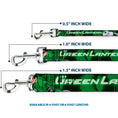 Load image into Gallery viewer, Dog Leash - Green Lantern Green Glow w/Text
