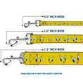 Load image into Gallery viewer, Dog Leash - Tweety Bird Expressions2
